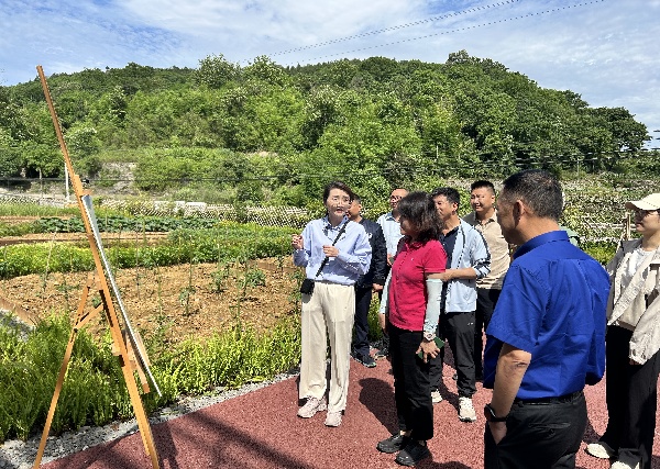 2024.06.06  國家自然資源部礦業(yè)權(quán)司一級調(diào)研員程越一行調(diào)研大業(yè)礦山_1.jpg